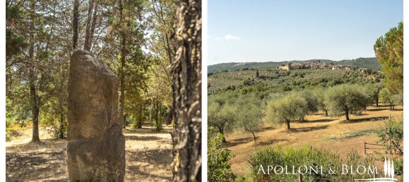 4 Schlafzimmer Villa in Sinalunga, Italy, Nr. 352642 41