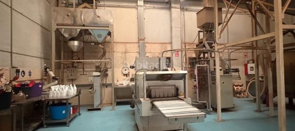 Lagerhaus in Cervello, Spain 1126m², Nr. 134314 11