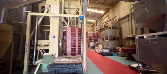 Lagerhaus in Cervello, Spain 1126m², Nr. 134314 12