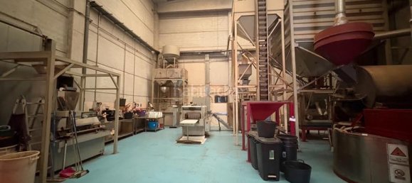 Lagerhaus in Cervello, Spain 1126m², Nr. 134314 9