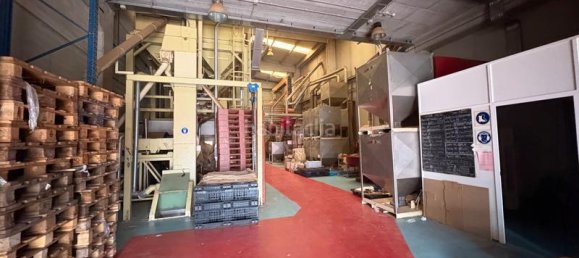 Lagerhaus in Cervello, Spain 1126m², Nr. 134314 8