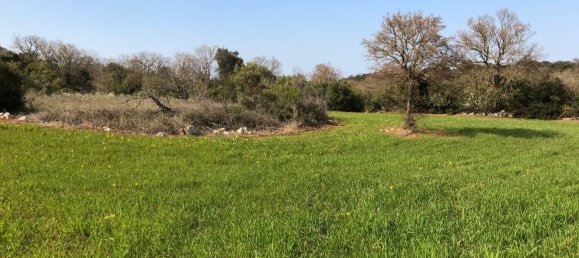 4-Zimmer Haus in Putignano, Italy, Nr. 263881 3