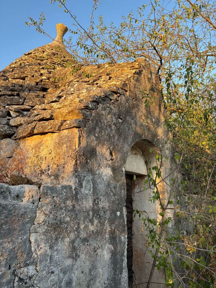 4-Zimmer Haus in Putignano, Italy, Nr. 263881