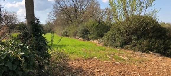 4-Zimmer Haus in Putignano, Italy, Nr. 263881 7