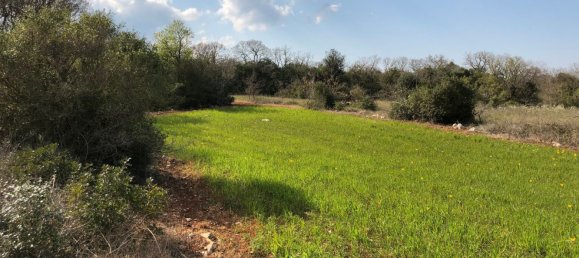 4-Zimmer Haus in Putignano, Italy, Nr. 263881 4