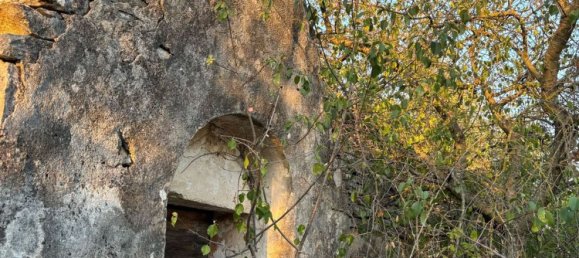 4-Zimmer Haus in Putignano, Italy, Nr. 263881 10