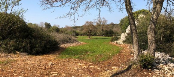 4-Zimmer Haus in Putignano, Italy, Nr. 263881 5