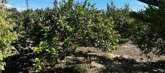 5 chambres Maison à La Foia, Spain No. 75286 28