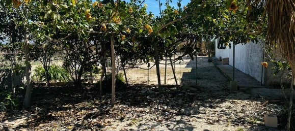 5 chambres Maison à La Foia, Spain No. 75286 42