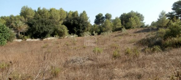 Таунхаус с 2 спальнями в Арта, Испания № 198 5