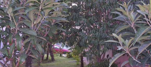 Imóvel comercial T2 em Pieria, Greece N.º 53268 12