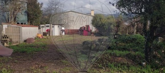 2 bedrooms House in Sao Joao da Madeira, Portugal No. 180102 29