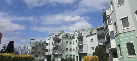 4 rooms Penthouse in Ebergassing, Austria No. 218873 3