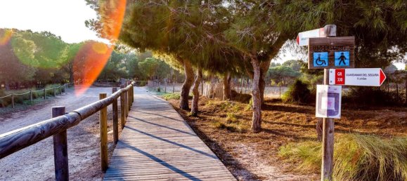 1 Schlafzimmer Bungalow in Torrevieja, Spain, Nr. 177435 19