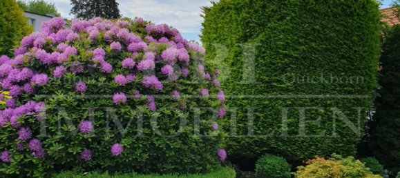 3 bedrooms Bungalow in Schleswig-Holstein, Germany No. 71666 27