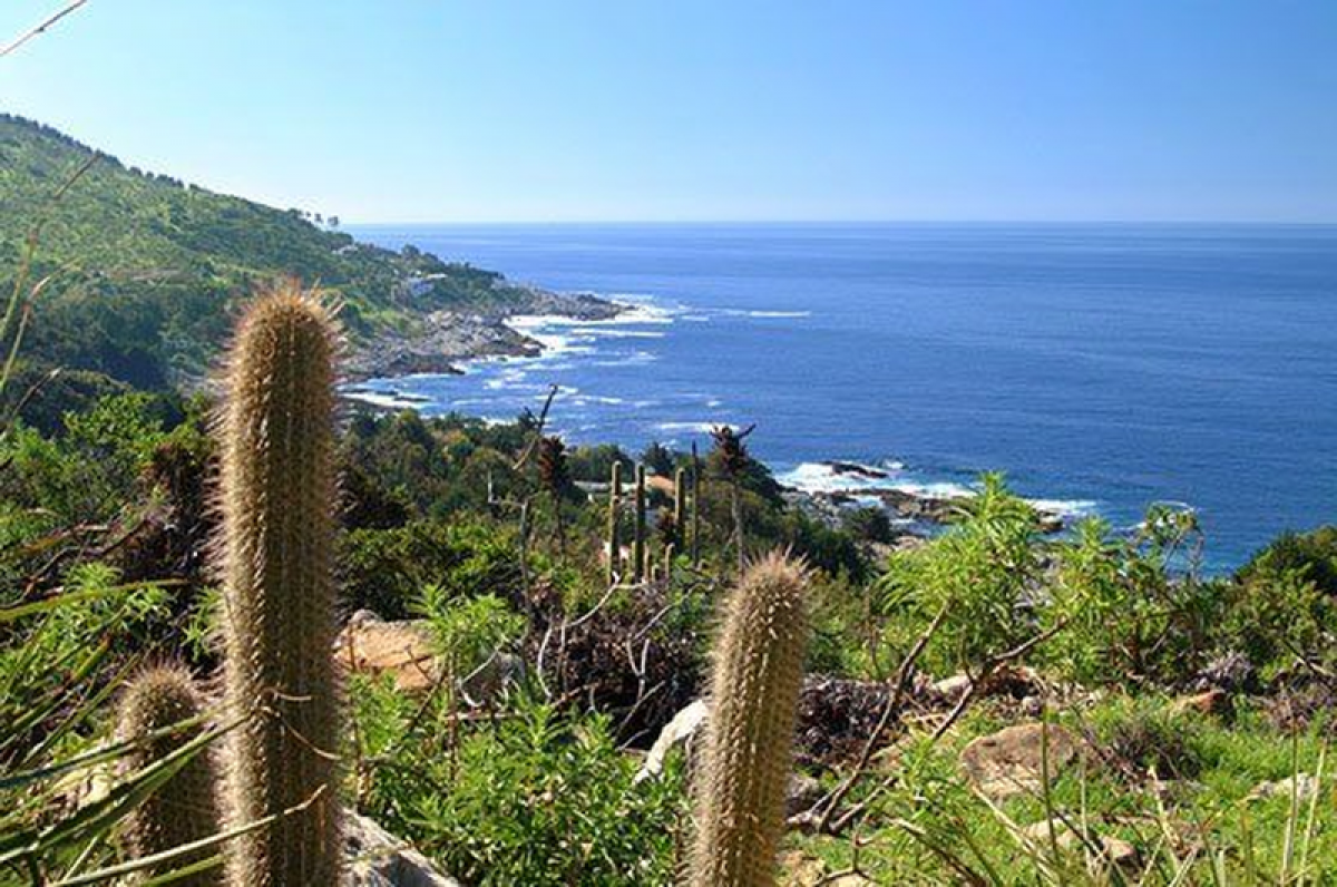 Grundstück in Valparaiso, Chile, Nr. 707