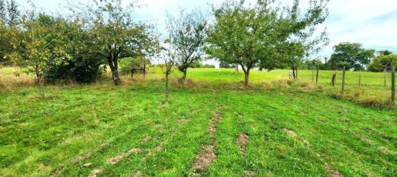 4 غرف نوم منزل في Arzviller, France رقم 246883 5