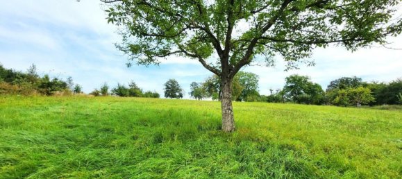 4 غرف نوم منزل في Arzviller, France رقم 246883 4