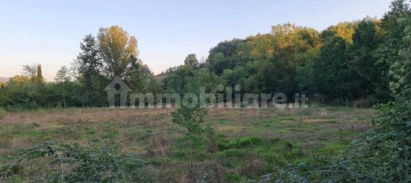 11400m² Land in Colle di Val d'Elsa, Italy No. 374580 7