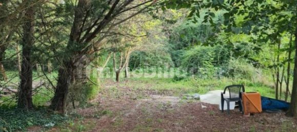 11400m² Land in Colle di Val d'Elsa, Italy No. 374580 6