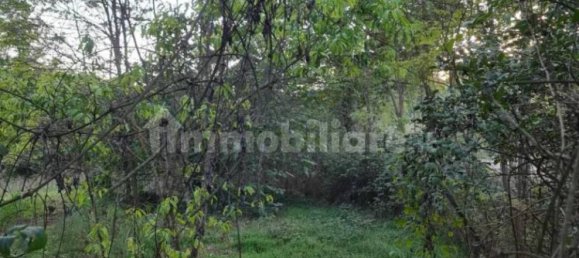 11400m² Land in Colle di Val d'Elsa, Italy No. 374580 2