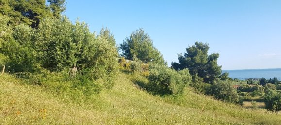 Hotel in Chalkidiki, Greece 20000m², Nr. 4879 3