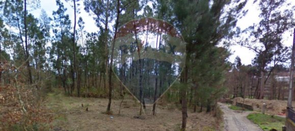 Grundstück in Vila Verde, Portugal 3800m², Nr. 31120 3