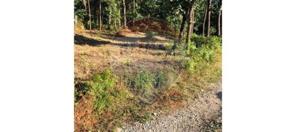 Grundstück in Vila Verde, Portugal 3800m², Nr. 31120 2