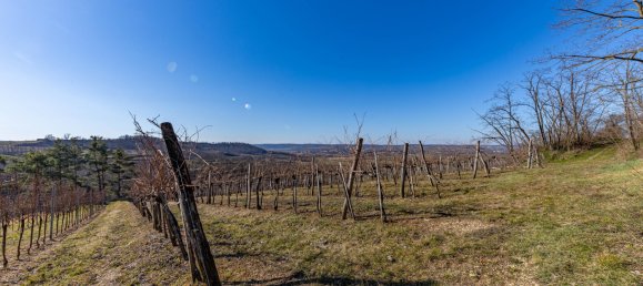 Land in Ziersdorf, Austria No. 132527 3