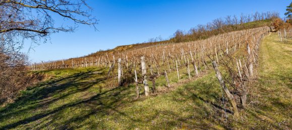 Land in Ziersdorf, Austria No. 132527 4