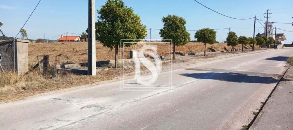 Grundstück in Tomar, Portugal 7050m², Nr. 79594 9