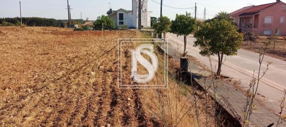 Grundstück in Tomar, Portugal 7050m², Nr. 79594 3