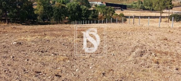 Grundstück in Tomar, Portugal 7050m², Nr. 79594 4