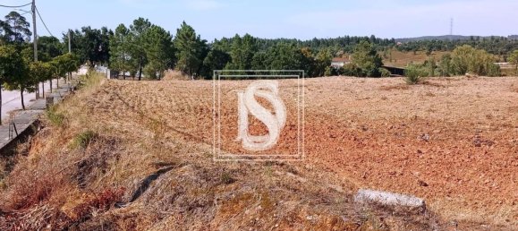 Grundstück in Tomar, Portugal 7050m², Nr. 79594 10