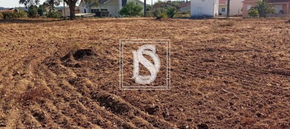 Grundstück in Tomar, Portugal 7050m², Nr. 79594 5