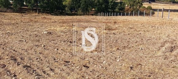 Grundstück in Tomar, Portugal 7050m², Nr. 79594 6