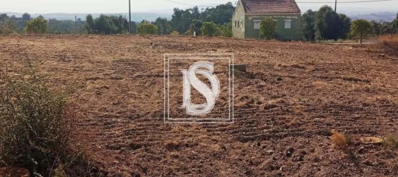 Grundstück in Tomar, Portugal 7050m², Nr. 79594 7