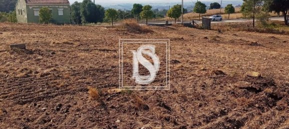 Grundstück in Tomar, Portugal 7050m², Nr. 79594 8