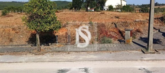 Grundstück in Tomar, Portugal 7050m², Nr. 79594 13