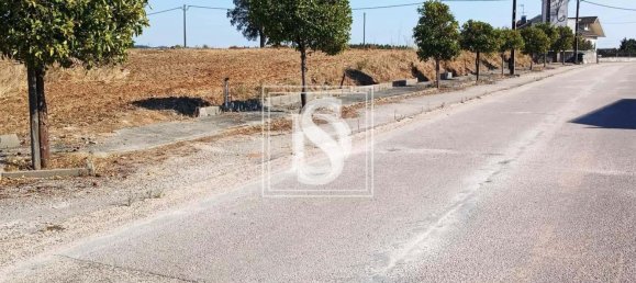 Grundstück in Tomar, Portugal 7050m², Nr. 79594 11