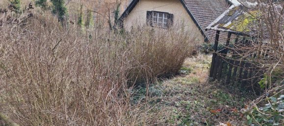 6-salle Maison à Haunoldstein, Austria No. 113849 7