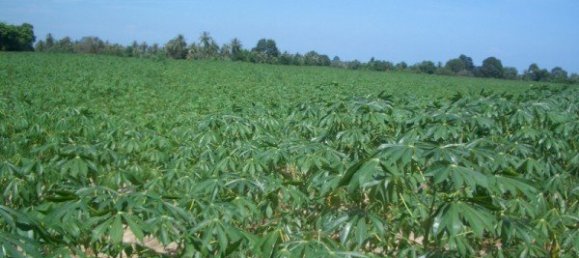  Commercial property in Pattaya, Thailand No. 86 12