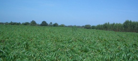  Commercial property in Pattaya, Thailand No. 86 11