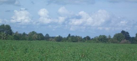  Commercial property in Pattaya, Thailand No. 86 8