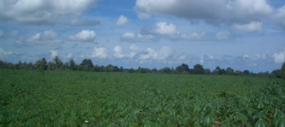  Commercial property in Pattaya, Thailand No. 86 6