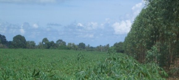  Commercial property in Pattaya, Thailand No. 86 9