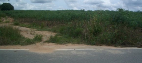  Commercial property in Pattaya, Thailand No. 86 5