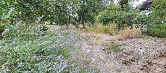 2 غرف نوم منزل في Tierce, France رقم 283686 15