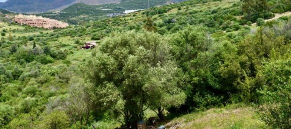 Terrain à Estepona, Spain No. 191114 7