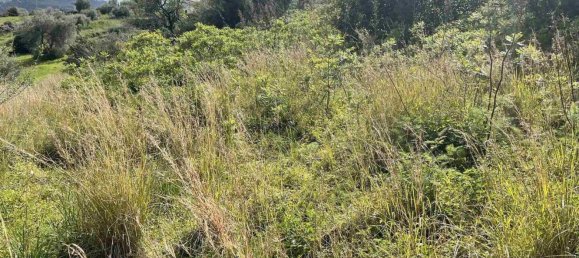 Terreno em Cefalù, Italy 73 m² N.º 142347 11